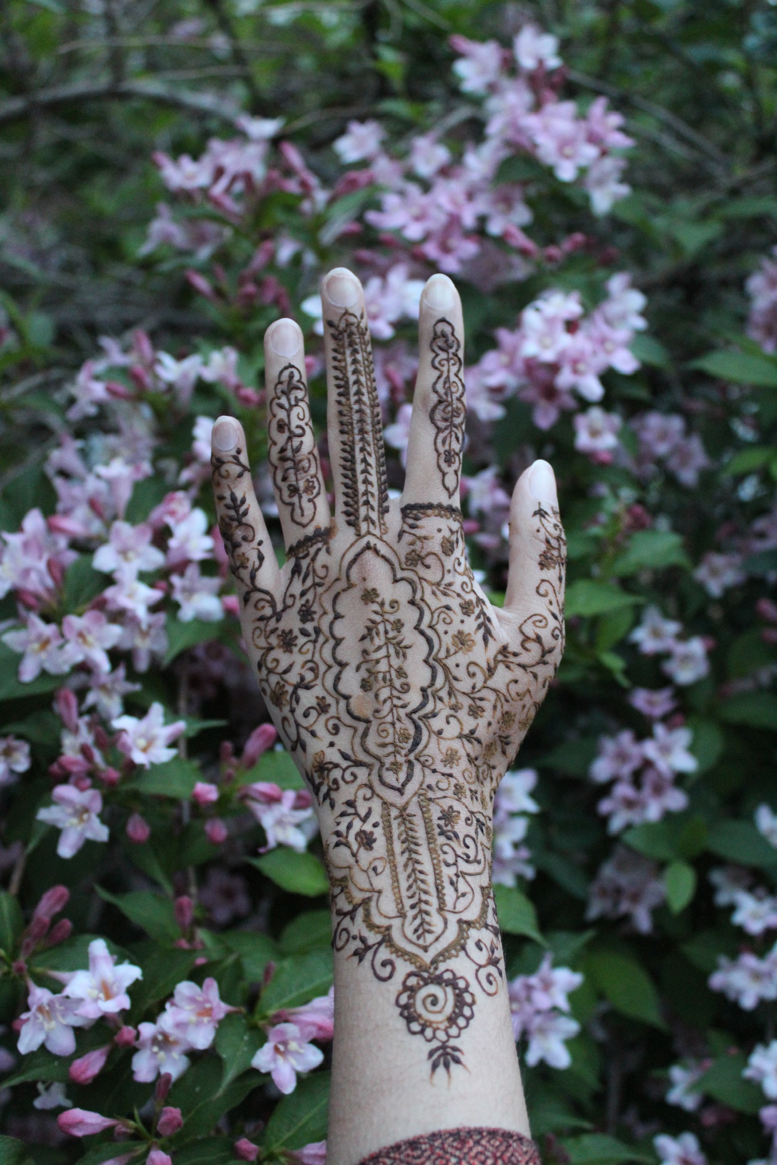 Intricate henna design example (hand + forearm)