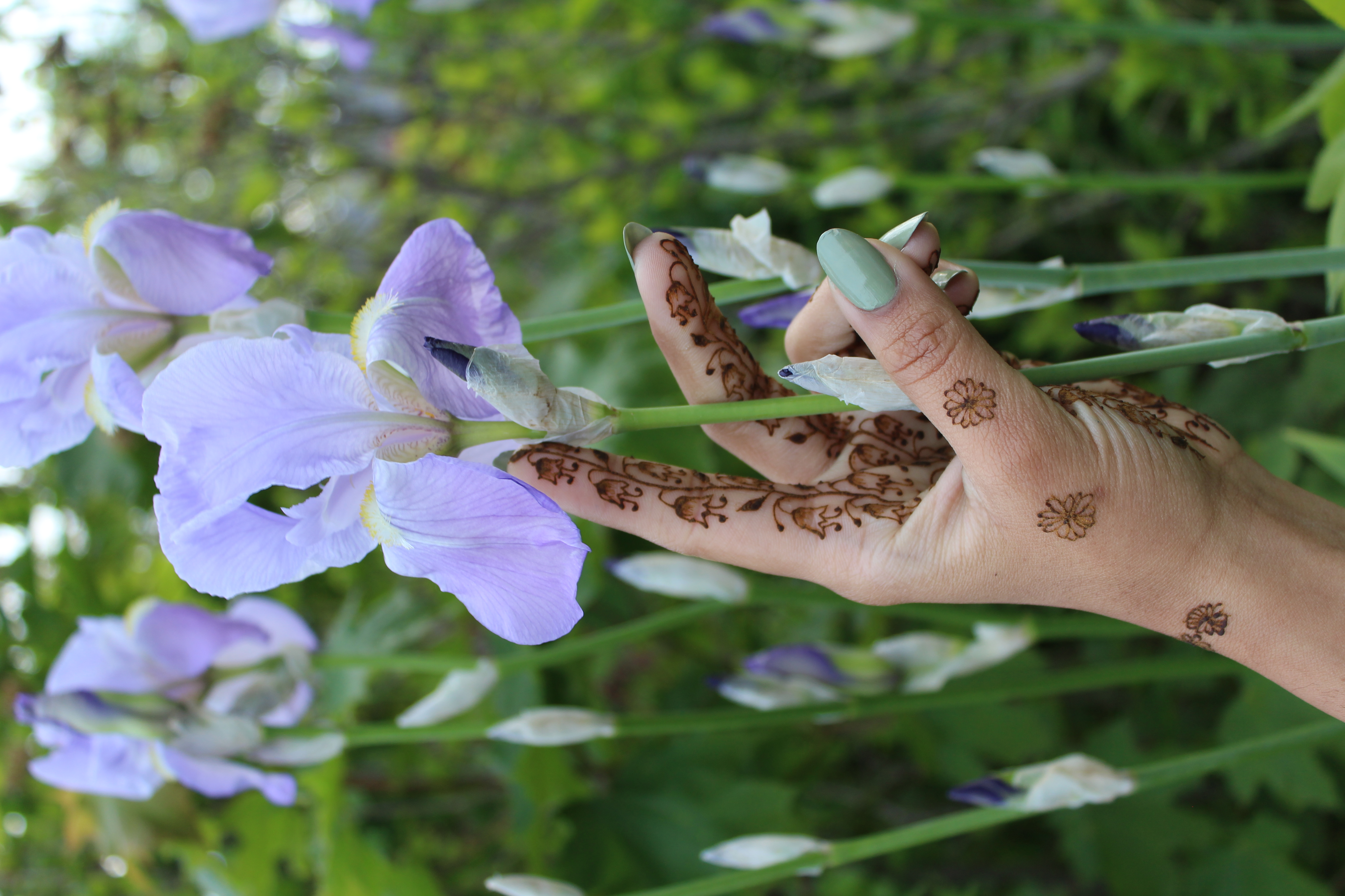Henna design 6